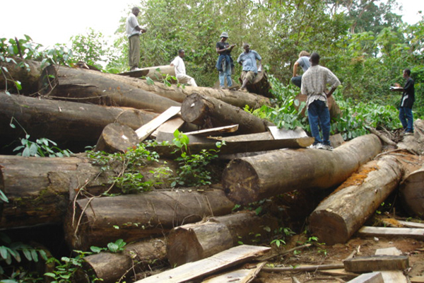 Norway Agrees to Pay Liberia $150 Million to End Deforestation by 2020 ...